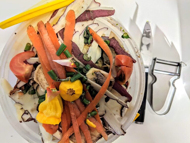 Practical Ways to Reduce Food Waste at Home